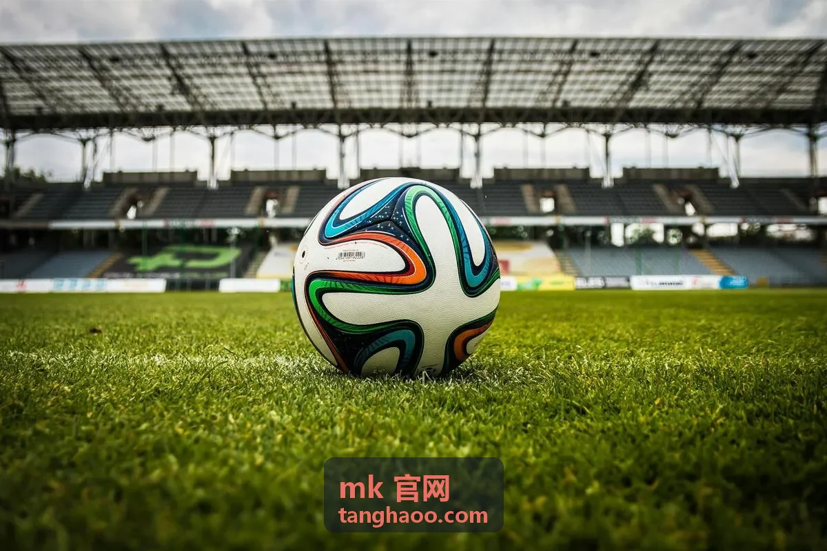 MK官网当季精选材质与质感内容展示图